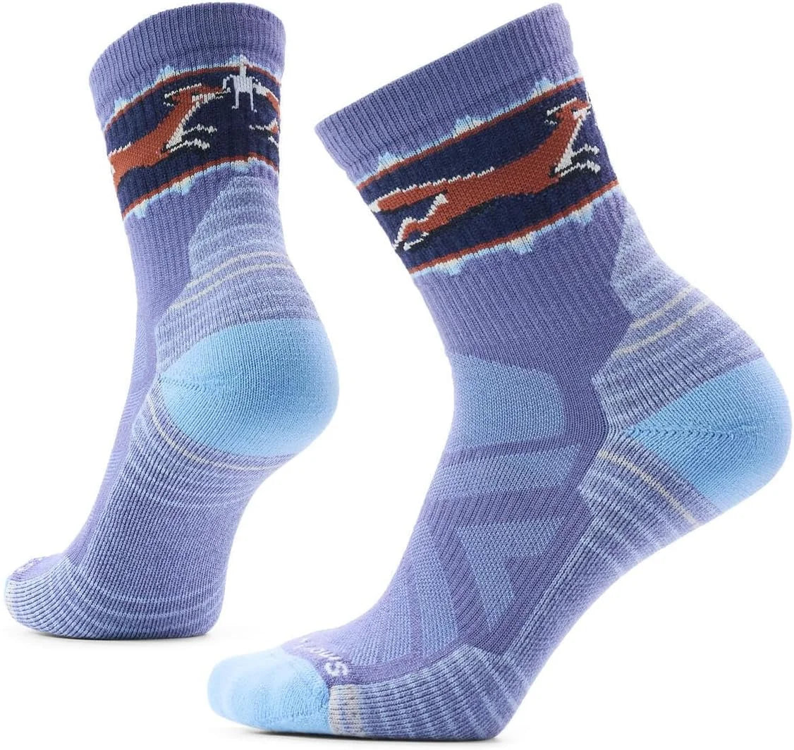 Smartwool Women's Hike Light Cushion Fox Meadow Mid Crew Socks