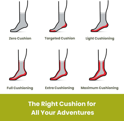 Smartwool Women's Run Targeted Cushion Ankle Socks