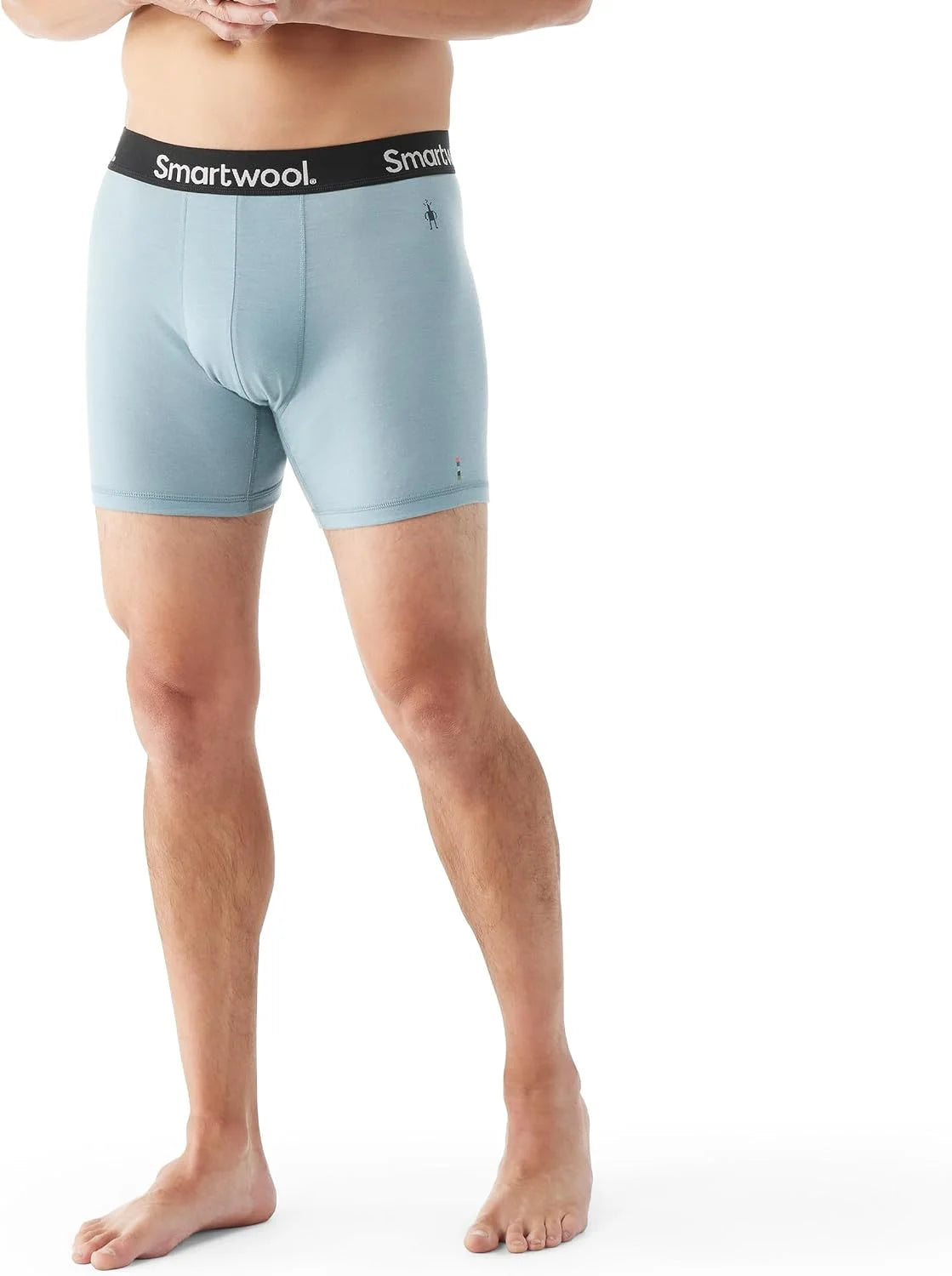 Smartwool Men's Everyday Merino Boxer Brief Boxed
